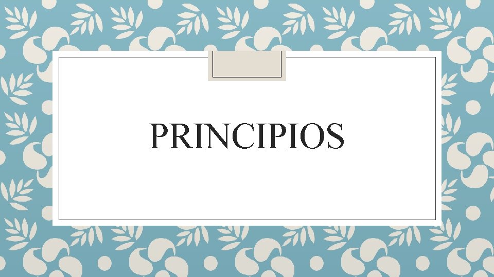 PRINCIPIOS 