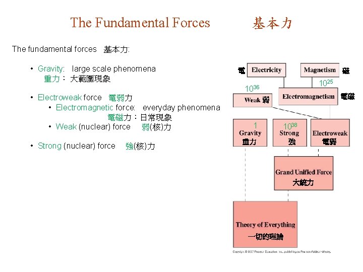 The Fundamental Forces 基本力 The fundamental forces 基本力: • Gravity: large scale phenomena 重力：