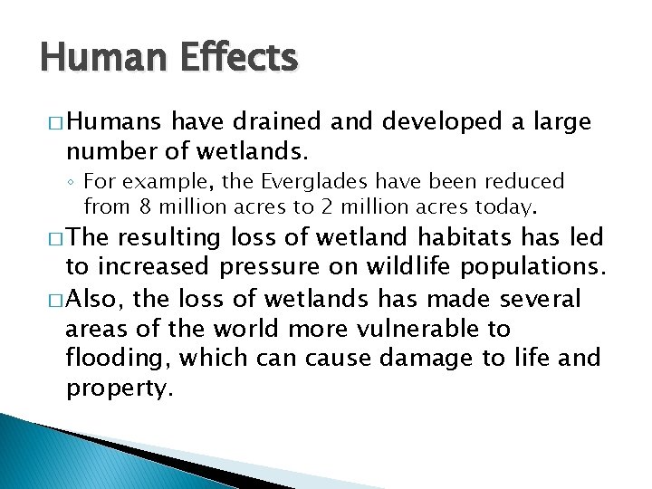 Human Effects � Humans have drained and developed a large number of wetlands. ◦