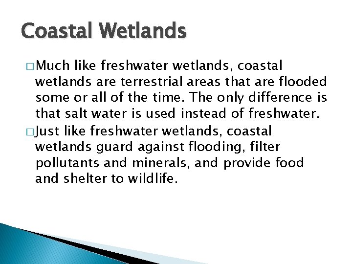 Coastal Wetlands � Much like freshwater wetlands, coastal wetlands are terrestrial areas that are