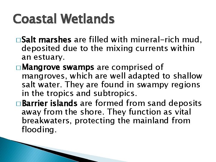Coastal Wetlands � Salt marshes are filled with mineral-rich mud, deposited due to the