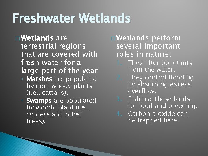 Freshwater Wetlands � Wetlands are terrestrial regions that are covered with fresh water for
