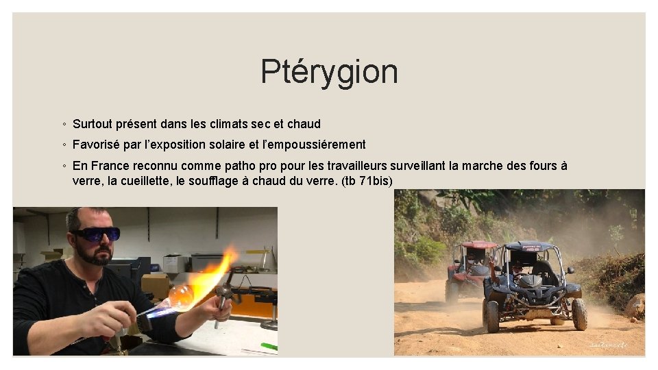 Ptérygion ◦ Surtout présent dans les climats sec et chaud ◦ Favorisé par l’exposition