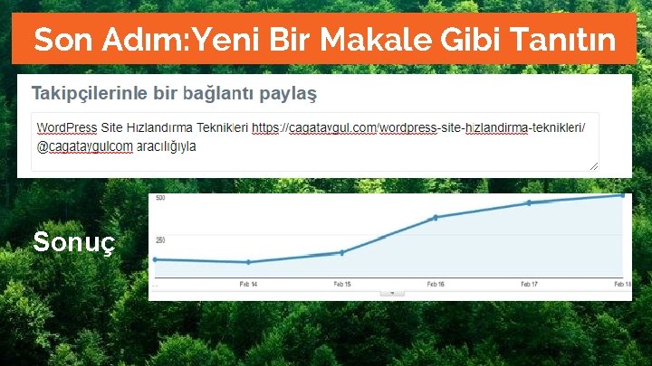 Son Adım: Yeni Bir Makale Gibi Tanıtın Sonuç 