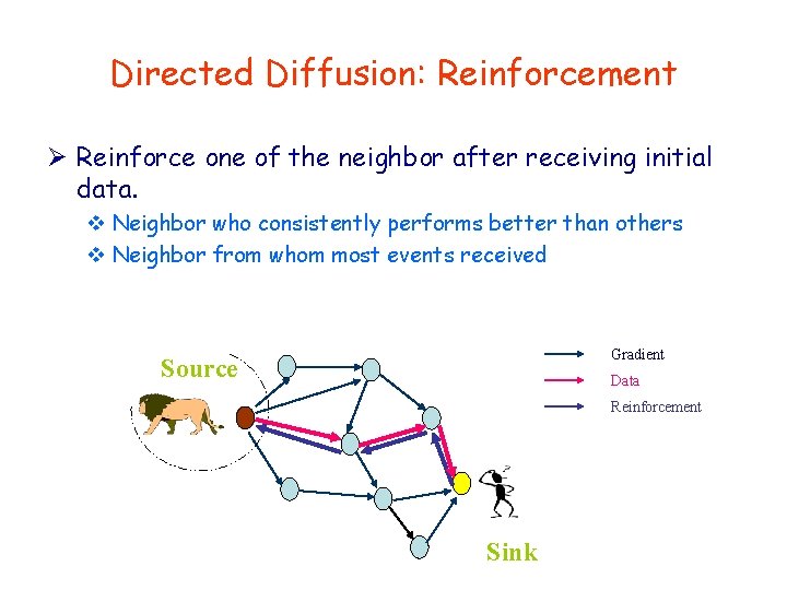 Directed Diffusion: Reinforcement Ø Reinforce one of the neighbor after receiving initial data. v