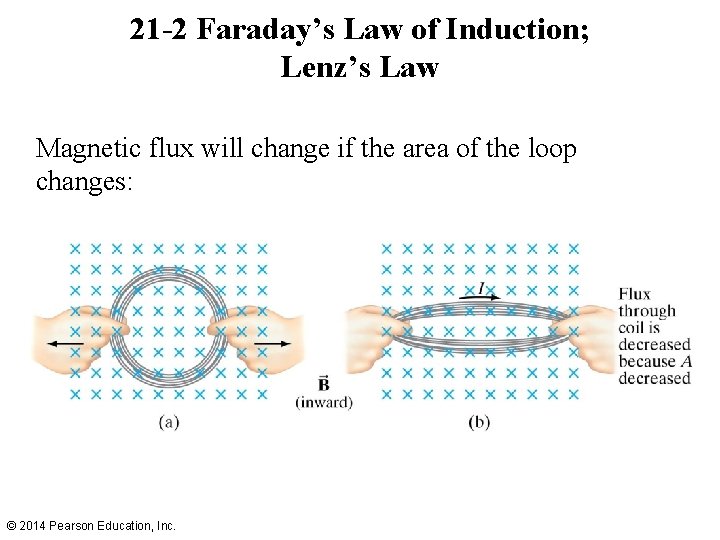 21 -2 Faraday’s Law of Induction; Lenz’s Law Magnetic flux will change if the