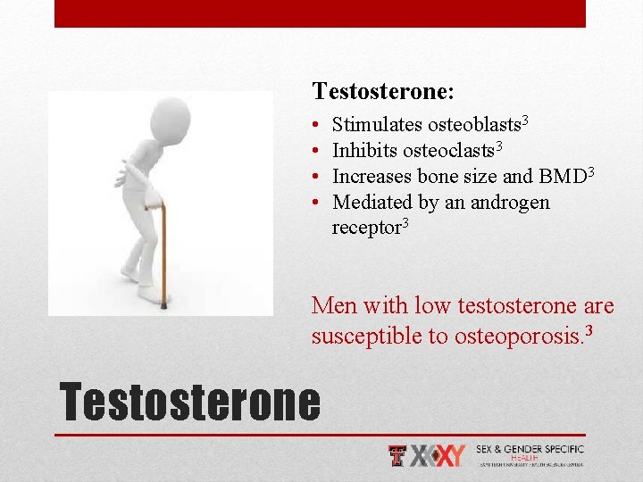 Testosterone: • • Stimulates osteoblasts 3 Inhibits osteoclasts 3 Increases bone size and BMD