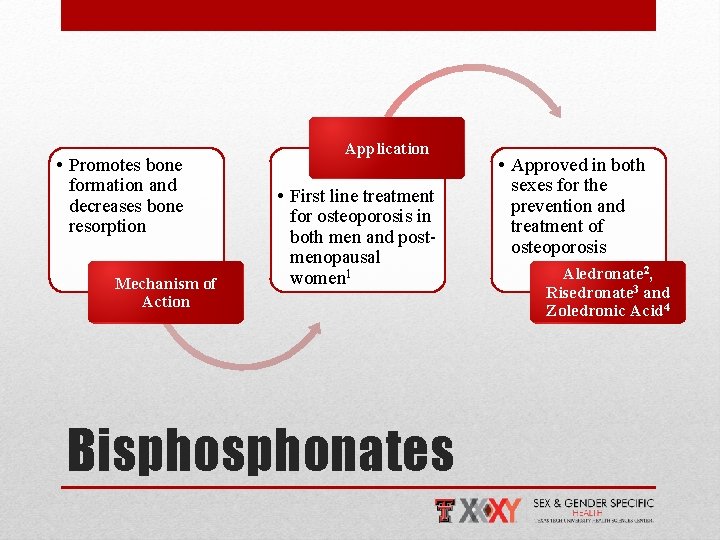  • Promotes bone formation and decreases bone resorption Mechanism of Action Application •