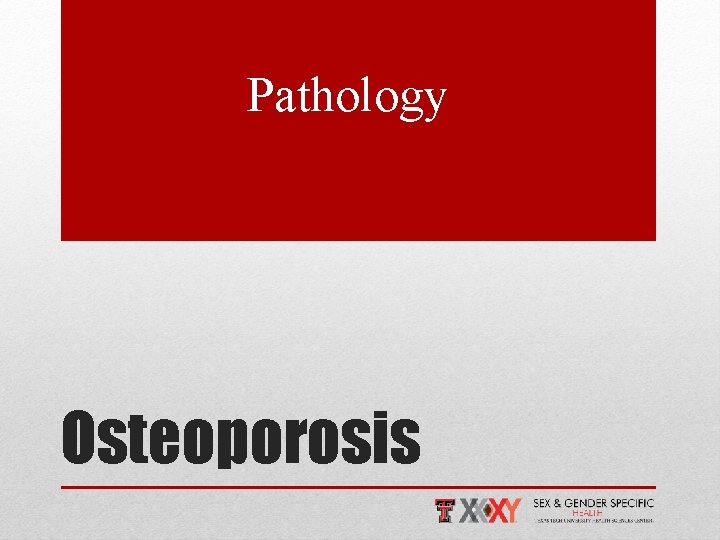 Pathology Osteoporosis 