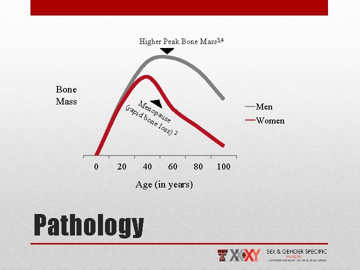 Higher Peak Bone Mass 3, 4 Bone Mass (ra Meno pid p bo ause