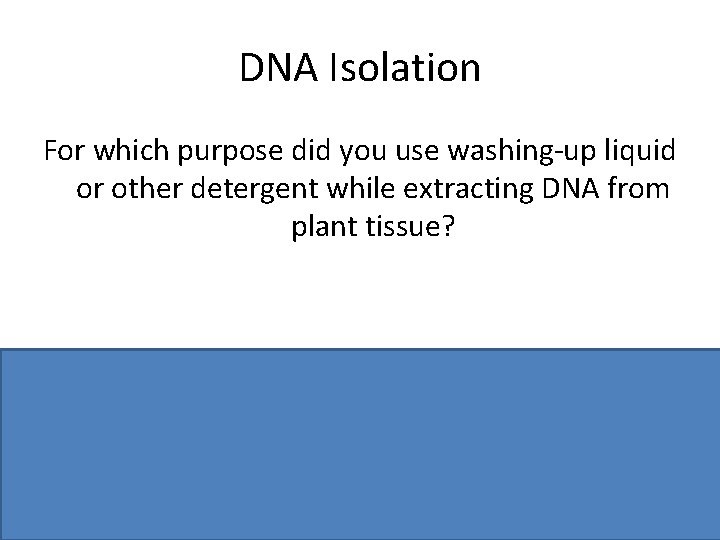 DNA Isolation For which purpose did you use washing-up liquid or other detergent while