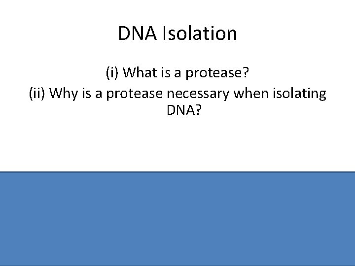 DNA Isolation (i) What is a protease? (ii) Why is a protease necessary when DNA Isolation (i) What is a protease? (ii) Why is a protease necessary when
