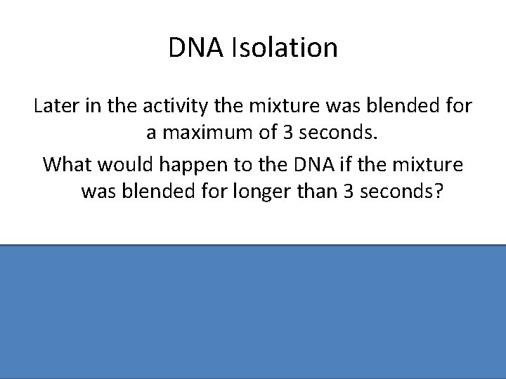 DNA Isolation Later in the activity the mixture was blended for a maximum of