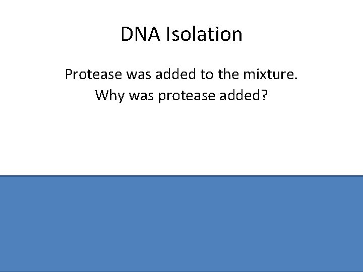 DNA Isolation Protease was added to the mixture. Why was protease added? To digest