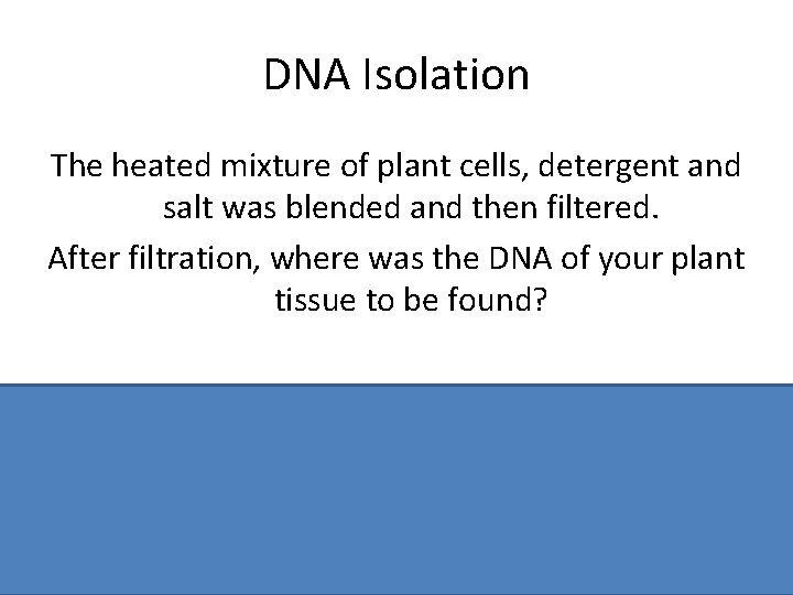 DNA Isolation The heated mixture of plant cells, detergent and salt was blended and