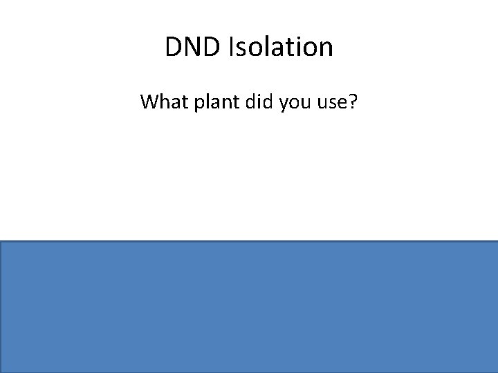 DND Isolation What plant did you use? Onion or Kiwi or other suitable plant DND Isolation What plant did you use? Onion or Kiwi or other suitable plant