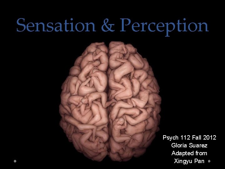 Sensation & Perception Psych 112 Fall 2012 Gloria Suarez Adapted from Xingyu Pan 