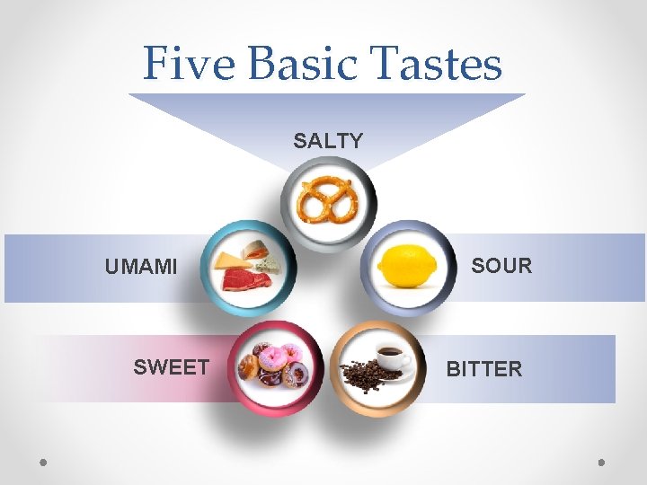 Five Basic Tastes SALTY UMAMI SWEET SOUR BITTER 