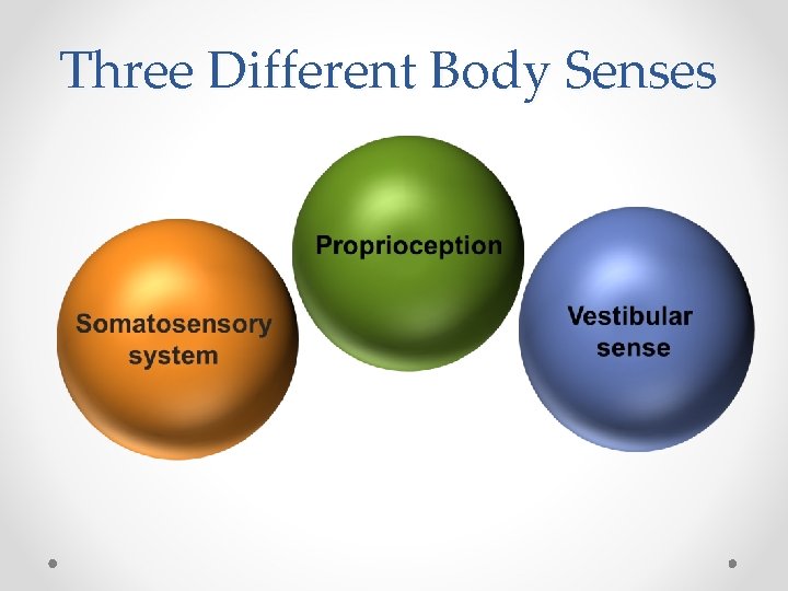 Three Different Body Senses 