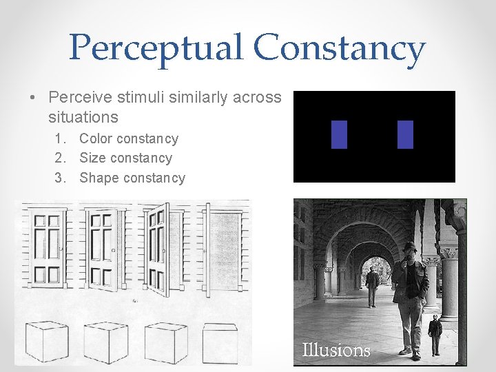 Perceptual Constancy • Perceive stimuli similarly across situations 1. Color constancy 2. Size constancy