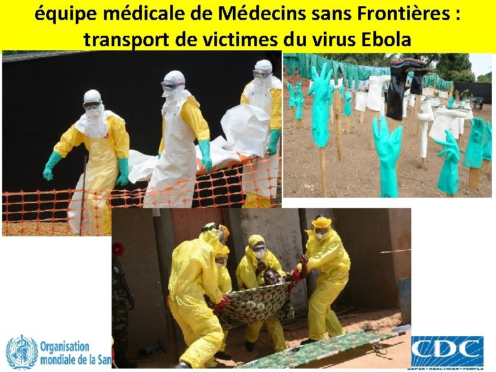 équipe médicale de Médecins sans Frontières : transport de victimes du virus Ebola 