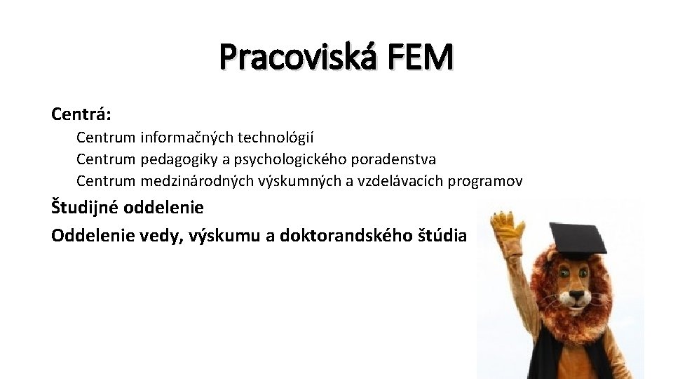 Pracoviská FEM Centrá: Centrum informačných technológií Centrum pedagogiky a psychologického poradenstva Centrum medzinárodných výskumných