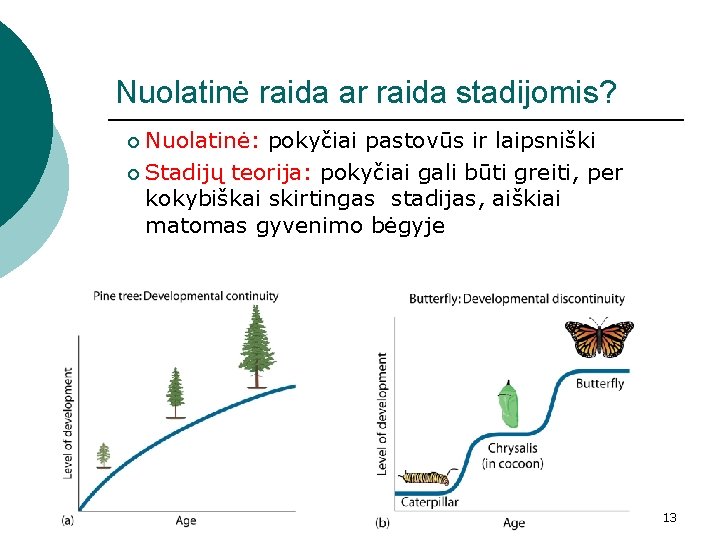 Nuolatinė raida ar raida stadijomis? Nuolatinė: pokyčiai pastovūs ir laipsniški ¡ Stadijų teorija: pokyčiai