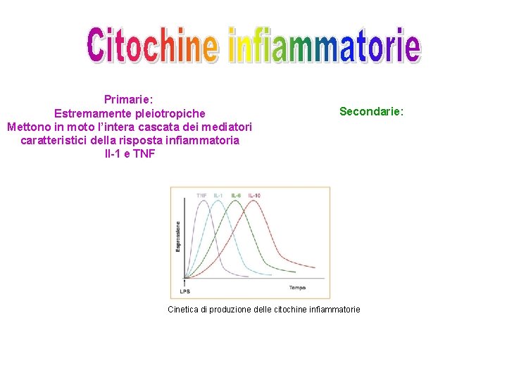 Primarie: Estremamente pleiotropiche Mettono in moto l’intera cascata dei mediatori caratteristici della risposta infiammatoria