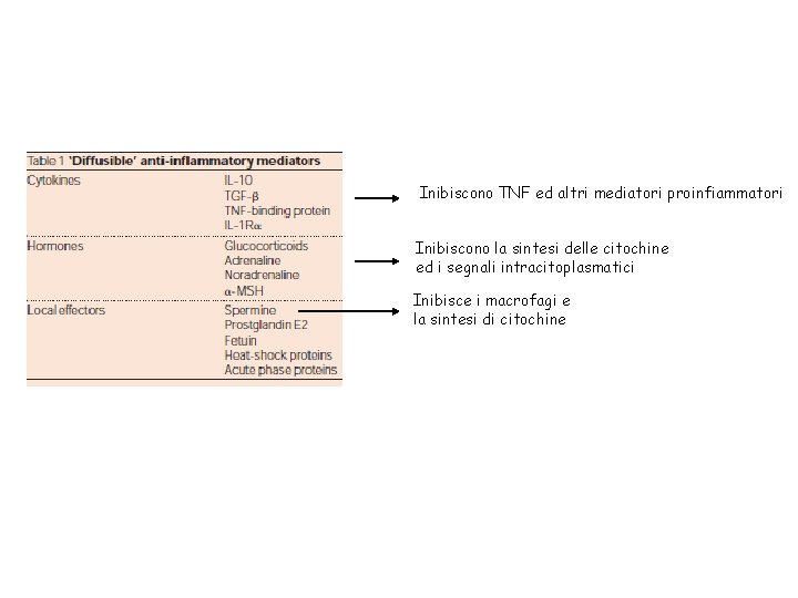 Inibiscono TNF ed altri mediatori proinfiammatori Inibiscono la sintesi delle citochine ed i segnali
