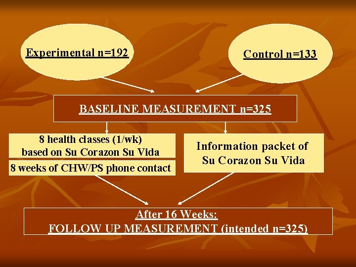 Experimental n=192 Control n=133 BASELINE MEASUREMENT n=325 8 health classes (1/wk) based on Su