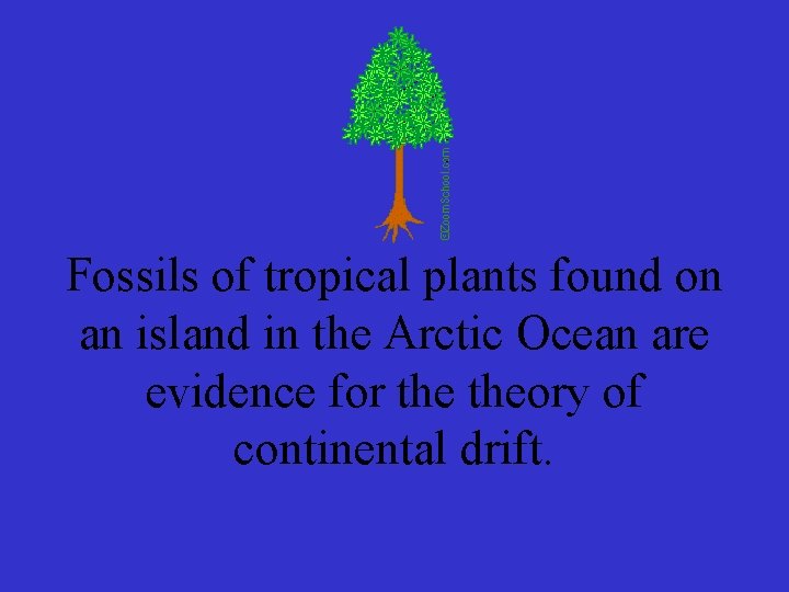 Fossils of tropical plants found on an island in the Arctic Ocean are evidence