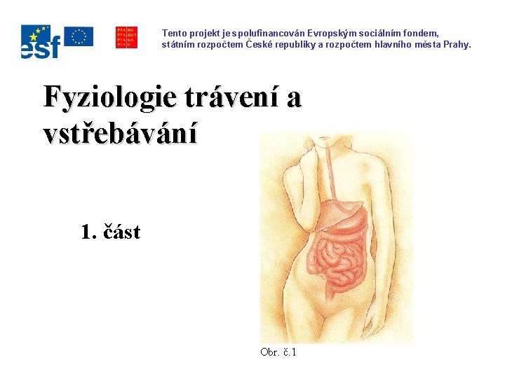 Tento projekt je spolufinancován Evropským sociálním fondem, státním rozpočtem České republiky a rozpočtem hlavního