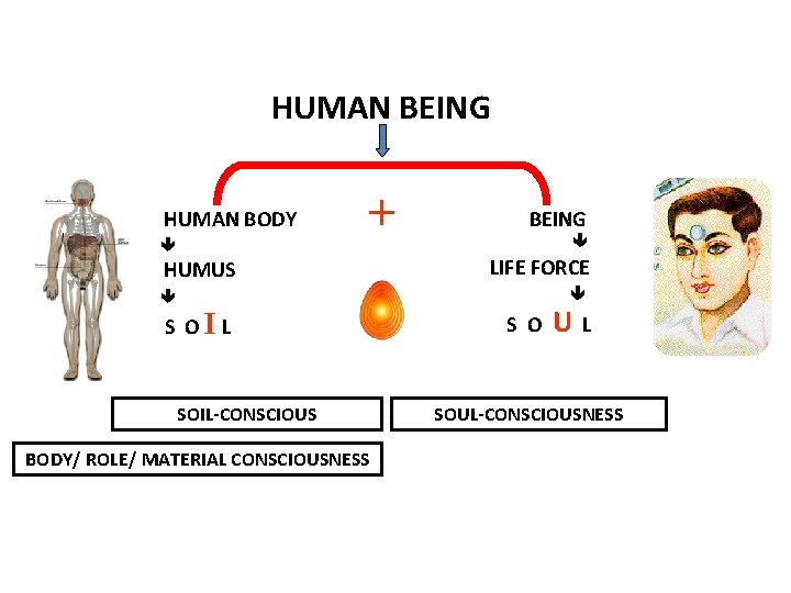 HUMAN BEING HUMAN BODY + HUMUS BEING LIFE FORCE S OIL SOIL-CONSCIOUS BODY/ ROLE/