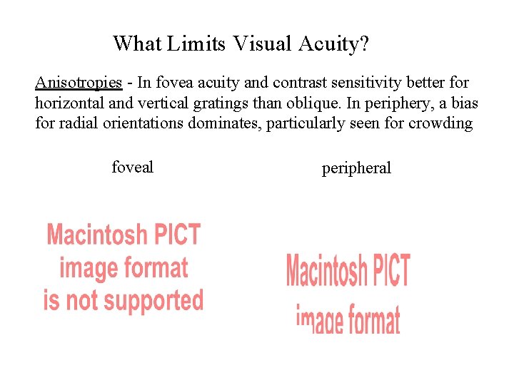 What Limits Visual Acuity? Anisotropies - In fovea acuity and contrast sensitivity better for