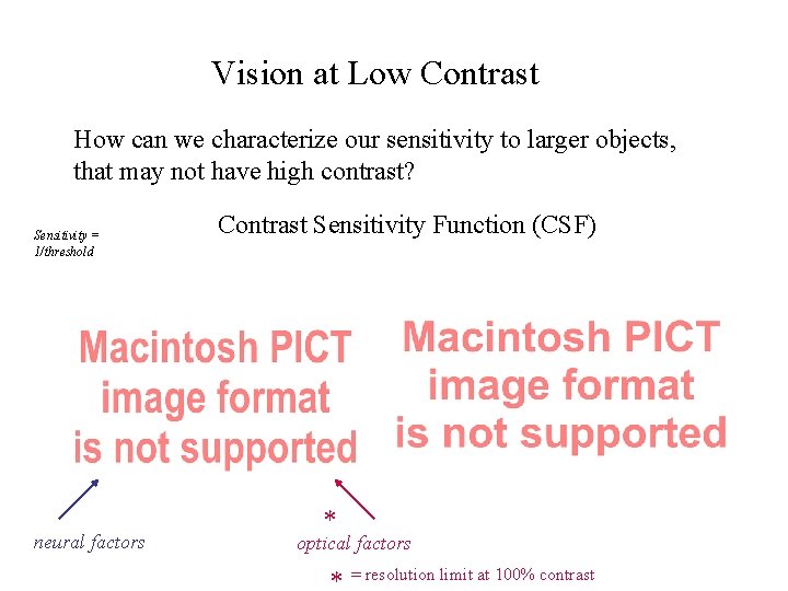 Vision at Low Contrast How can we characterize our sensitivity to larger objects, that