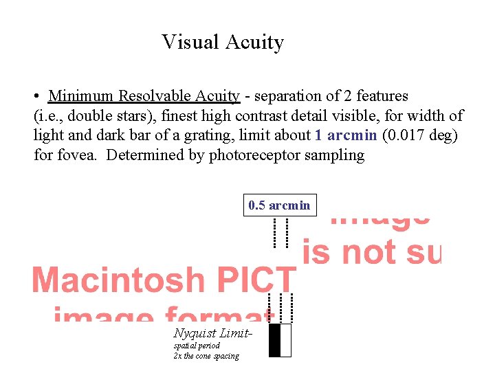Visual Acuity • Minimum Resolvable Acuity - separation of 2 features (i. e. ,