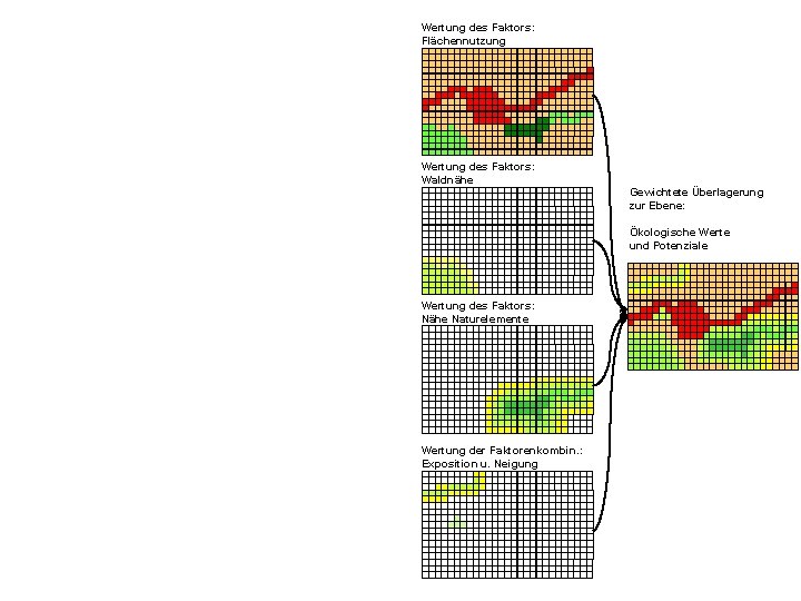 Wertung des Faktors: Flächennutzung Wertung des Faktors: Waldnähe Gewichtete Überlagerung zur Ebene: Ökologische Werte