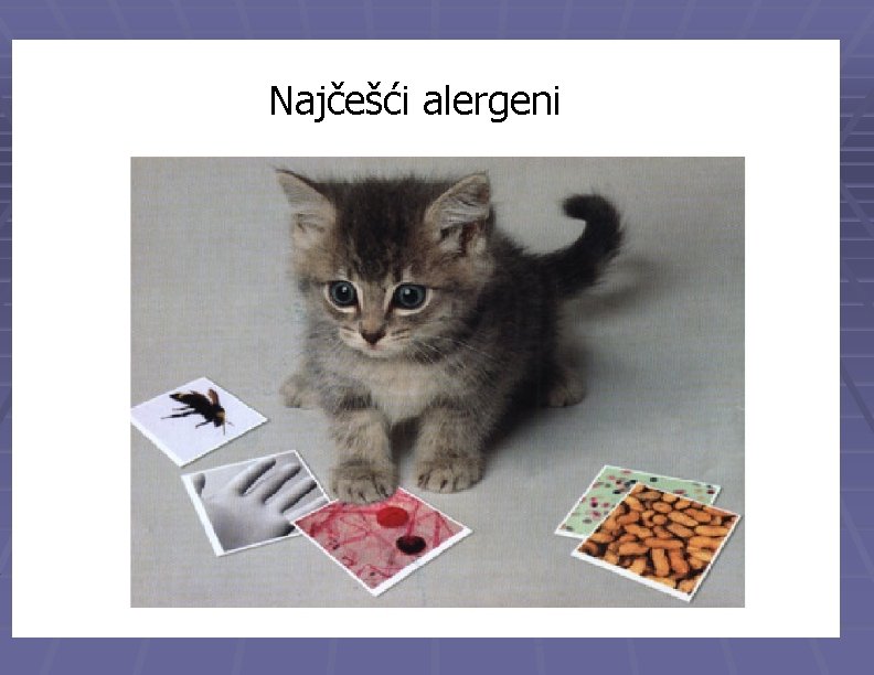 Najčešći alergeni 