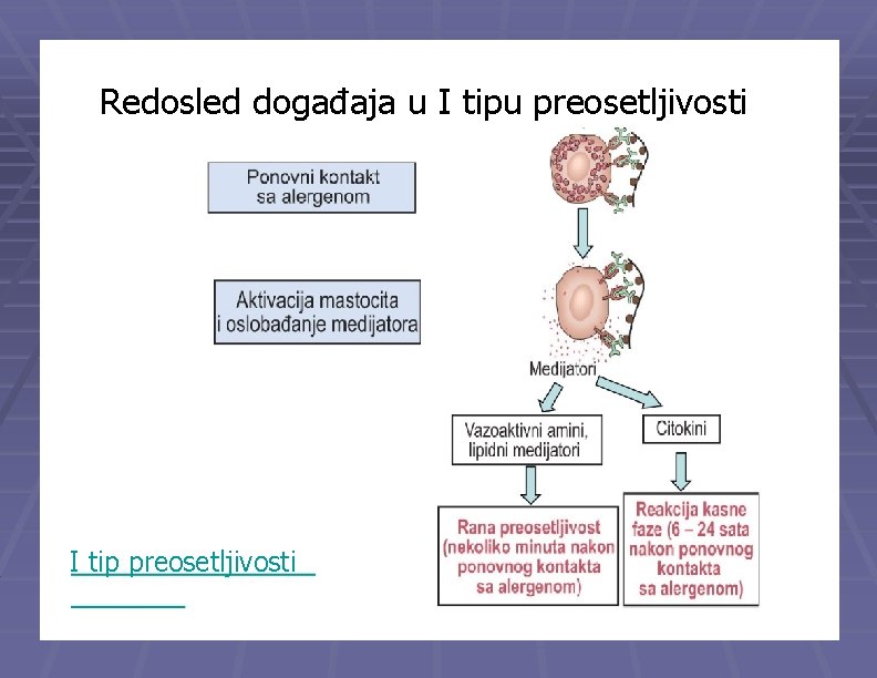 Redosled događaja u I tipu preosetljivosti I tip preosetljivosti 