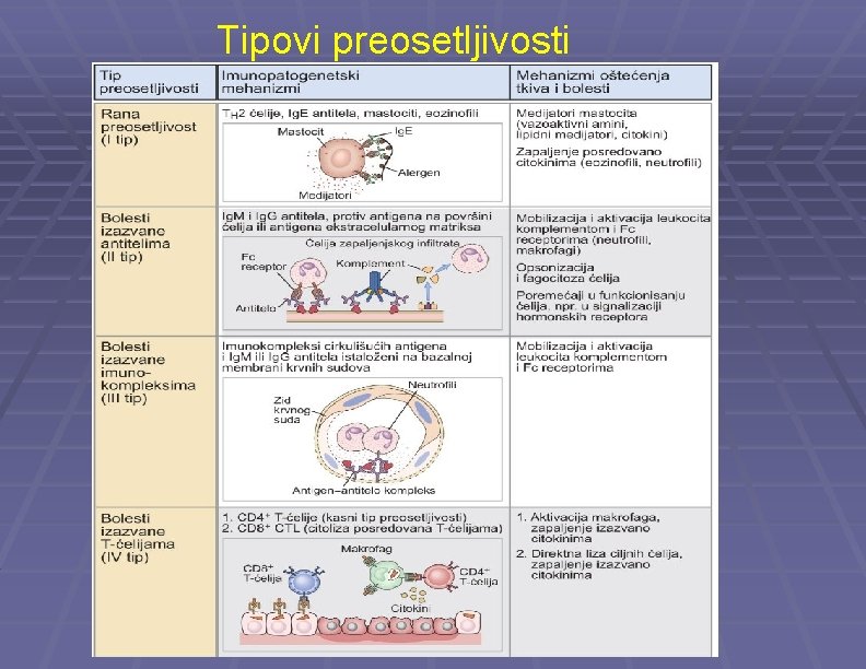 Tipovi preosetljivosti 