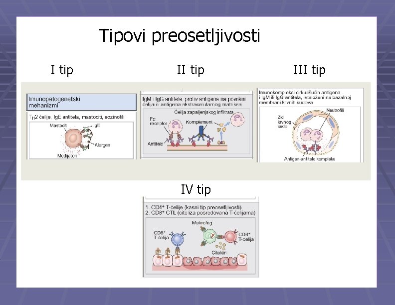 Tipovi preosetljivosti I tip IV tip III tip 