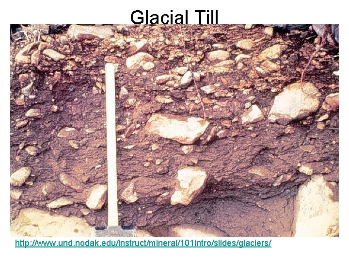 Glacial Till http: //www. und. nodak. edu/instruct/mineral/101 intro/slides/glaciers/ Glacial Till http: //www. und. nodak. edu/instruct/mineral/101 intro/slides/glaciers/