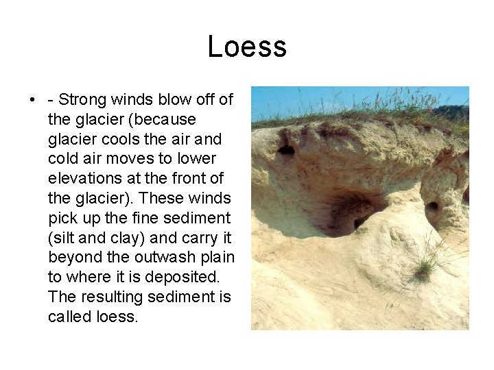 Loess • - Strong winds blow off of the glacier (because glacier cools the Loess • - Strong winds blow off of the glacier (because glacier cools the
