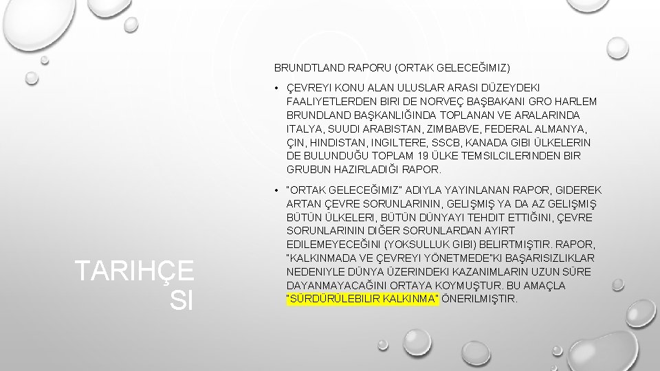 BRUNDTLAND RAPORU (ORTAK GELECEĞIMIZ) • ÇEVREYI KONU ALAN ULUSLAR ARASI DÜZEYDEKI FAALIYETLERDEN BIRI DE