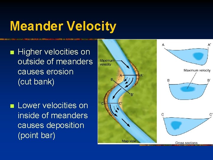 Meander Velocity n Higher velocities on outside of meanders causes erosion (cut bank) n