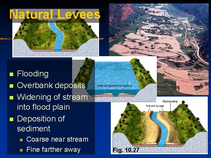 Natural Levees n n Flooding Overbank deposits Widening of stream into flood plain Deposition