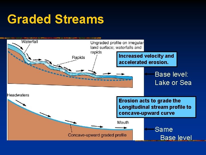 Graded Streams Increased velocity and accelerated erosion. Base level: Lake or Sea Erosion acts