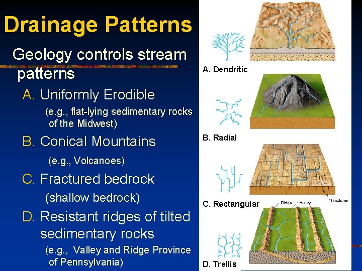 Drainage Patterns Geology controls stream patterns A. Dendritic A. Uniformly Erodible (e. g. ,