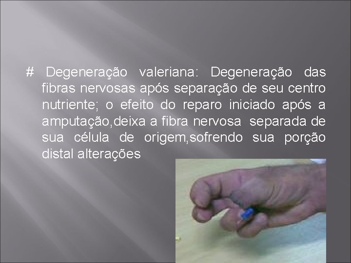 # Degeneração valeriana: Degeneração das fibras nervosas após separação de seu centro nutriente; o