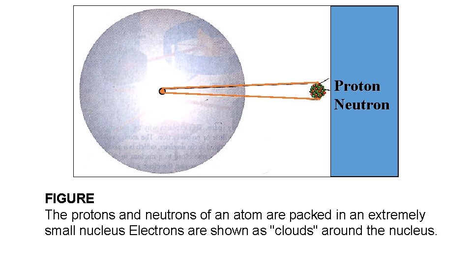 Proton Neutron FIGURE The protons and neutrons of an atom are packed in an Proton Neutron FIGURE The protons and neutrons of an atom are packed in an
